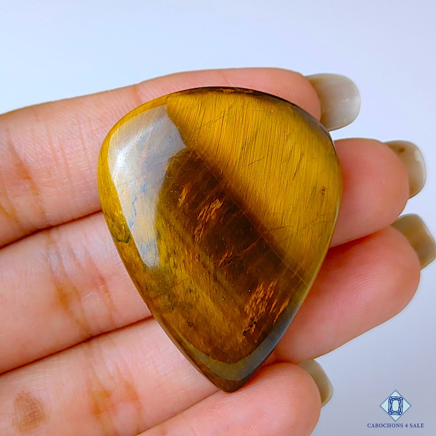 Black Tiger Eye