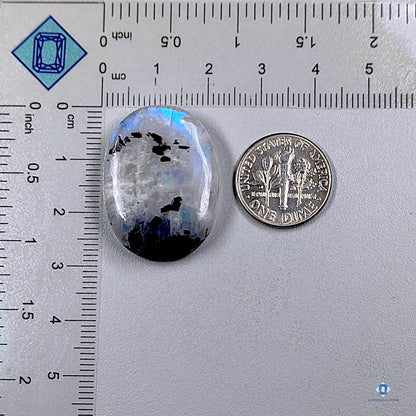 Black Tourmalated Moonstone Oval Cabochons