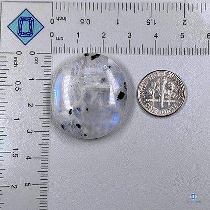 Black Tourmalated Moonstone Round Cabochons