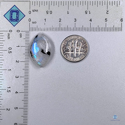 Black Tourmalated Moonstone Marquise Cabochons