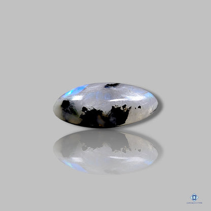 Black Tourmalated Moonstone Marquise Cabochons