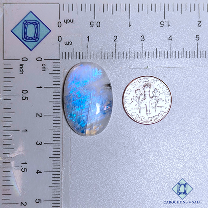 Black Tourmulated Moonstone