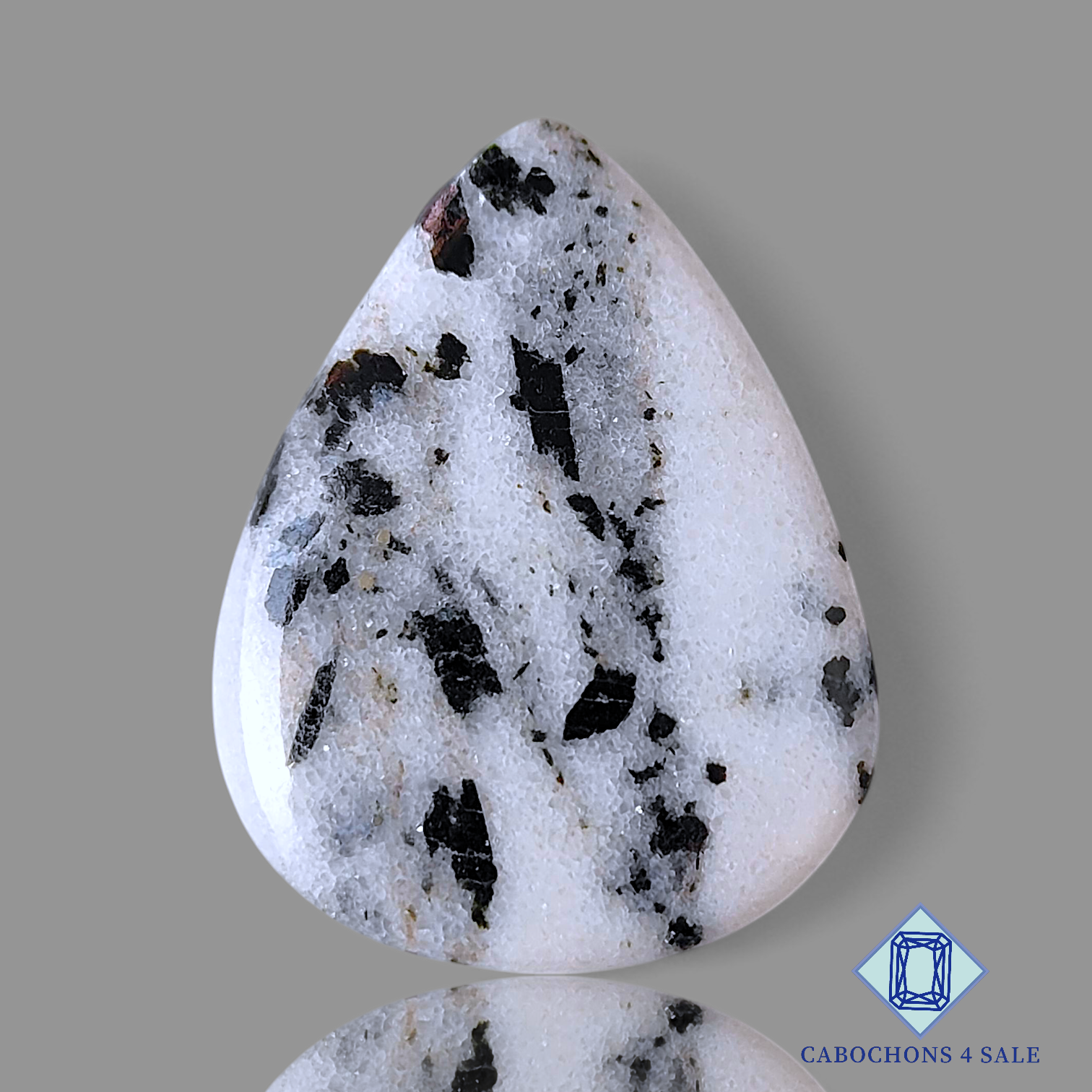 Black Tree Agate