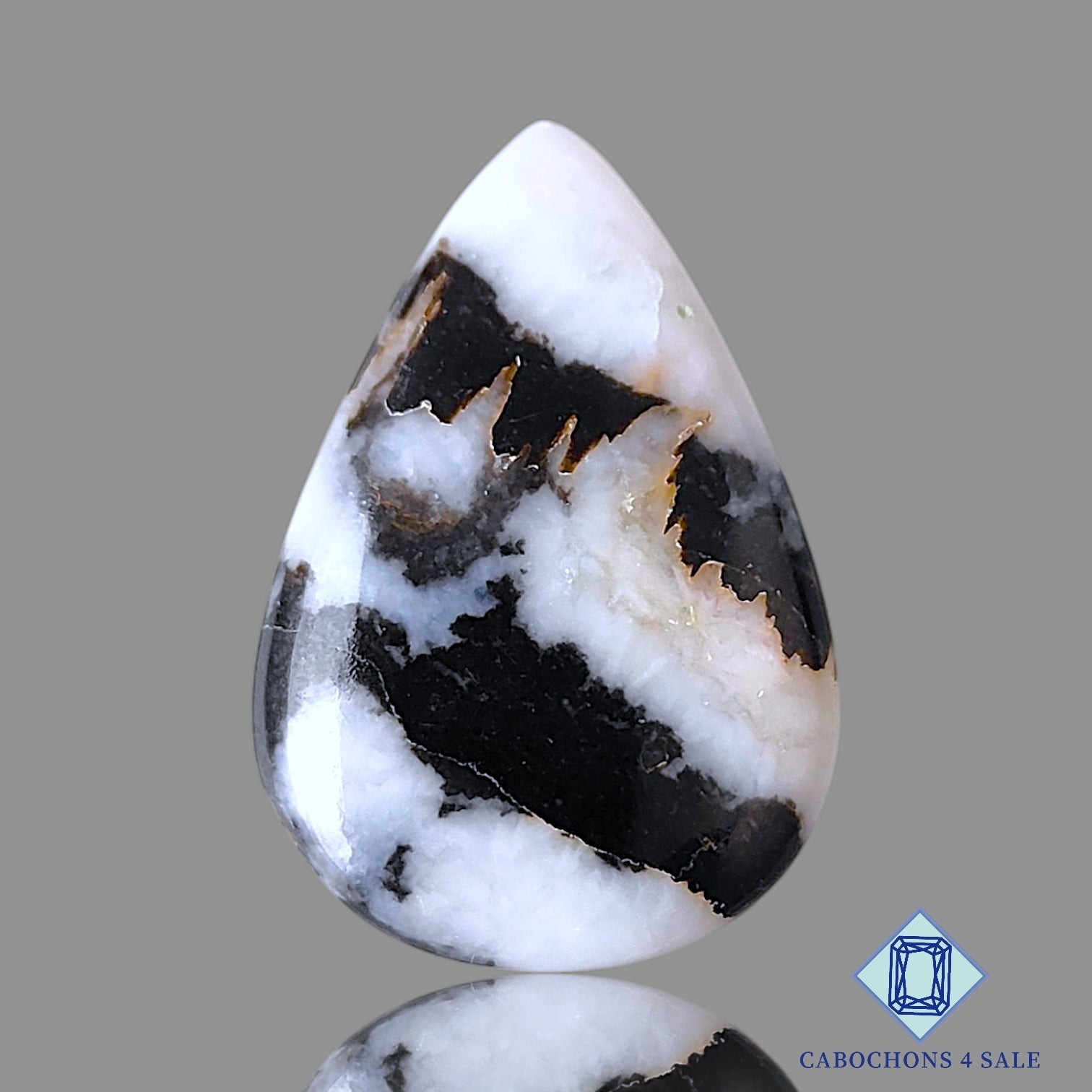 Black Zebra Jasper