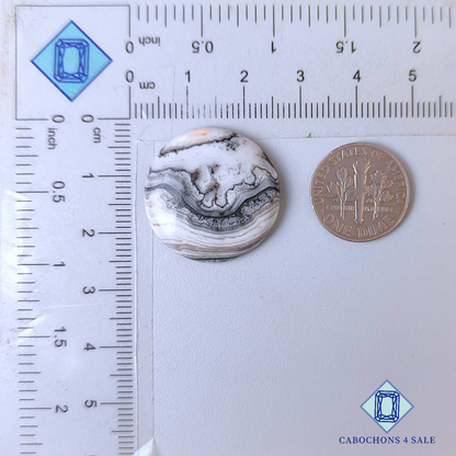 Cabujones redondos de ónix cebra negro de 23 x 5 mm