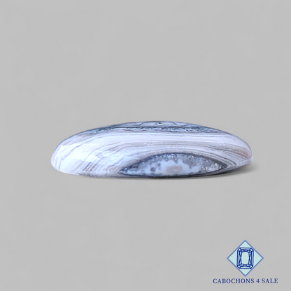 Cabujones redondos de ónix cebra negro de 23 x 5 mm