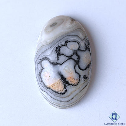 Black Zebra Onyx