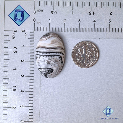 Natural Black Zebra Onyx Gemstone Oval Cabochons 30*19*6mm from Mexico available for sale