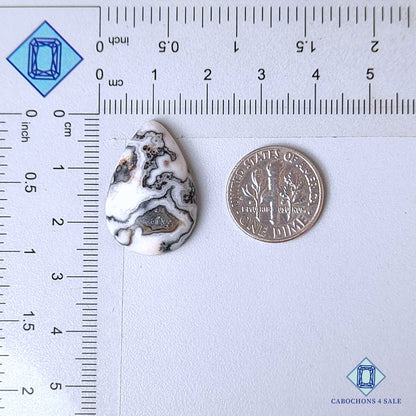 Natural Black Zebra Onyx Gemstone Pear Cabochons 25*16*5mm from Mexico available for sale