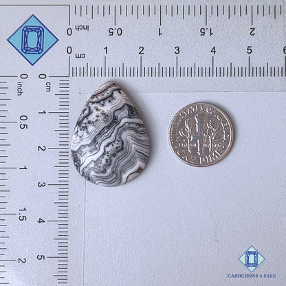 Natural Black Zebra Onyx Gemstone Pear Cabochons 29*21*5mm from Mexico available for sale