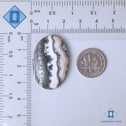 Natural Black Zebra Onyx Gemstone Oval Cabochons 33*21*6mm from Mexico available for sale