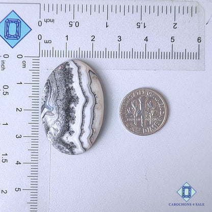 Natural Black Zebra Onyx Gemstone Oval Cabochons 35*23*7mm from Mexico available for sale