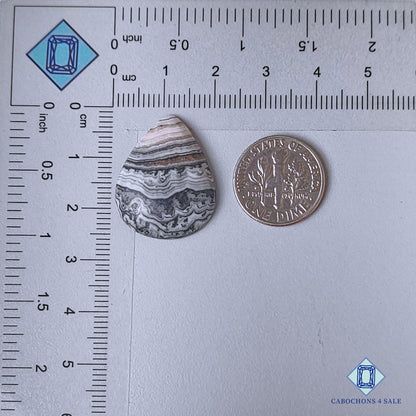 Natural Black Zebra Onyx Gemstone Pear Cabochons 24*19*4mm from Mexico available for sale