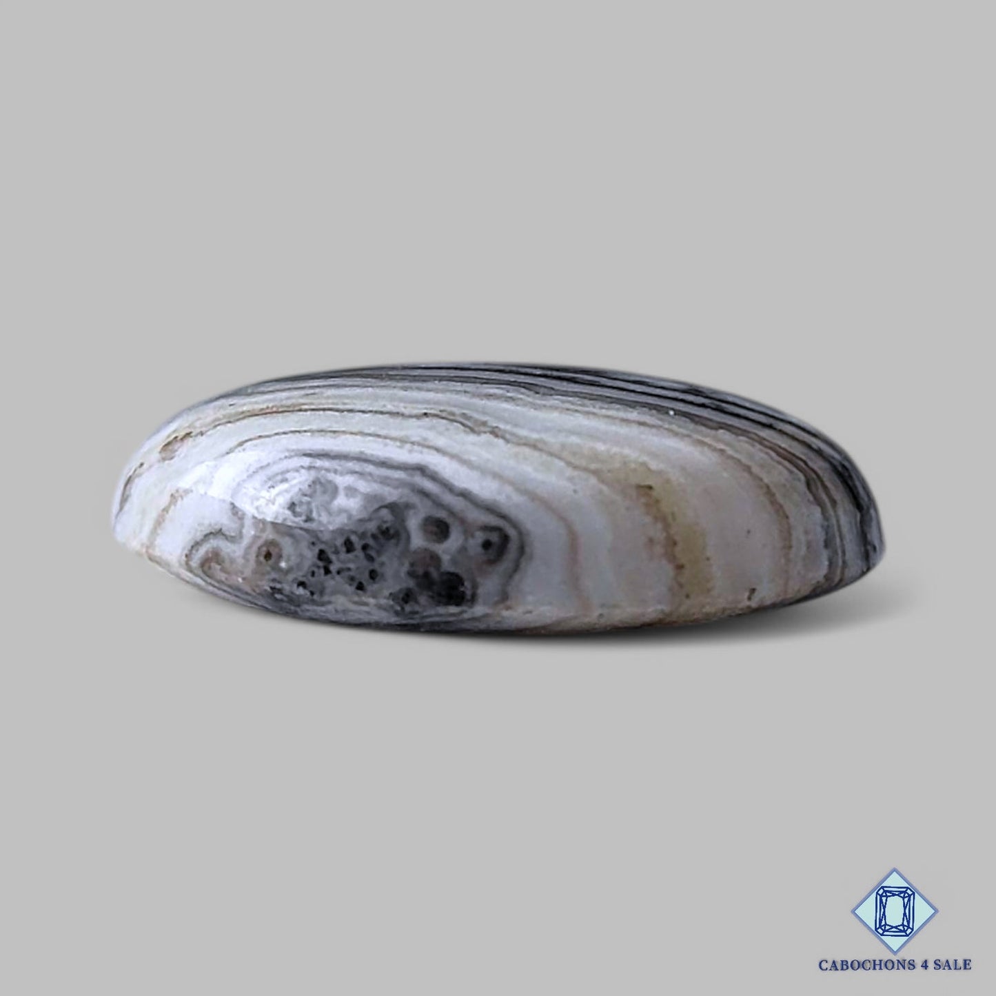 Natural Black Zebra Onyx Gemstone Round Cabochons 20*5mm from Australia available for sale