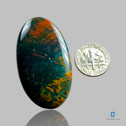 Bloodstone Jasper