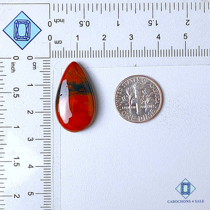 Natural Blood Stone Gemstone Pear Cabochons 26*15*5mm from Brazil available for sale