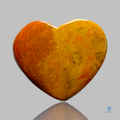 Blood stone jasper-c4sw1607-Heart-Yellow_Red-Cabochons