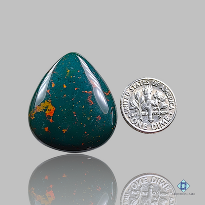 Bloodstone Jasper