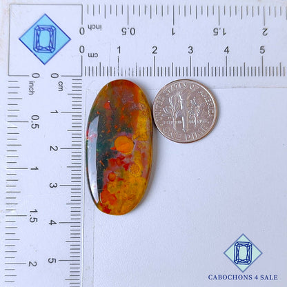 Bloodstone Oval Cabochons