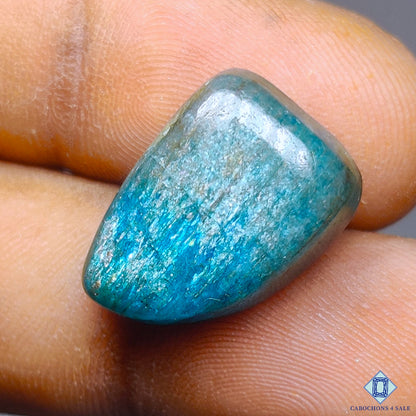 Blue Apatite