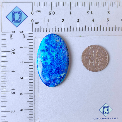 Cabujones ovalados de azurita Blue Bird de 34 x 21 x 5 mm