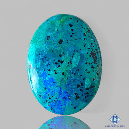 Blue Bird Azurite