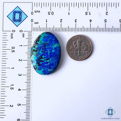 Blue Bird Azurite