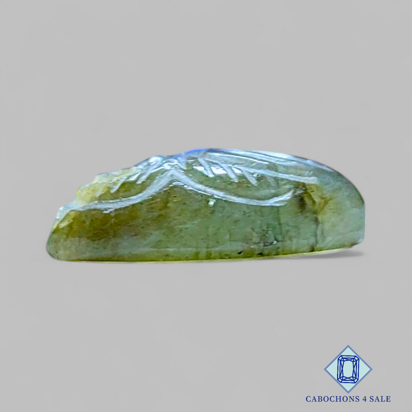 Blue Labradorite Marquise Carvings