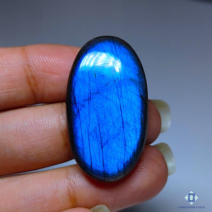 Blue Labradorite