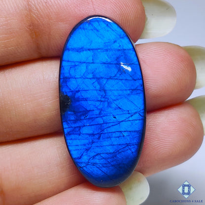 Blue Labradorite