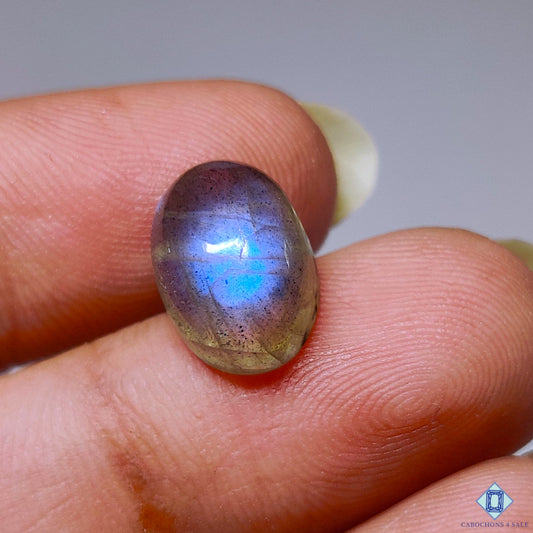 Blue Labradorite