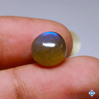 Blue Labradorite
