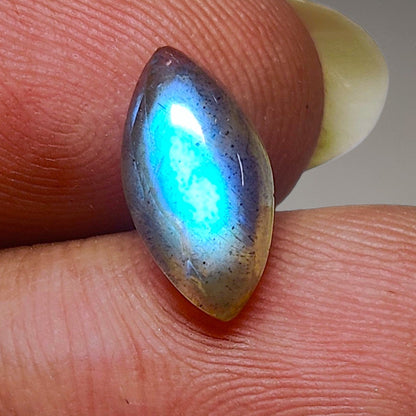Blue Labradorite