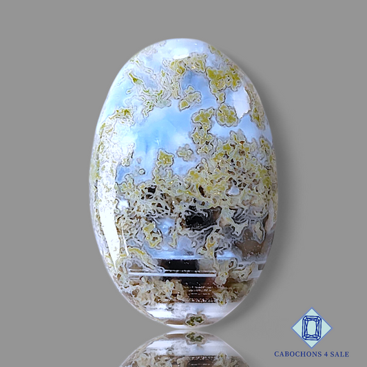 Blue Moss Agate