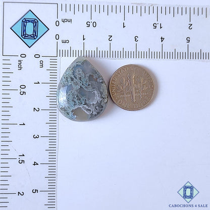 Blue Moss Agate