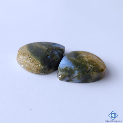 Blue Moss Agate