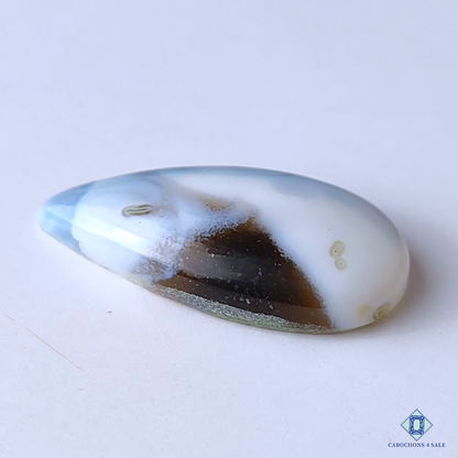 Blue Opal