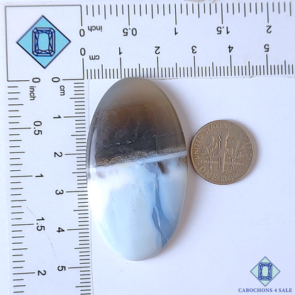Blue Opal