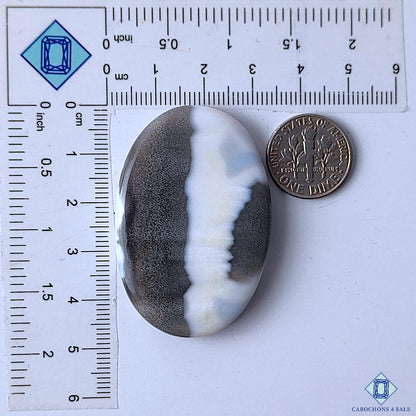 Blue Opal