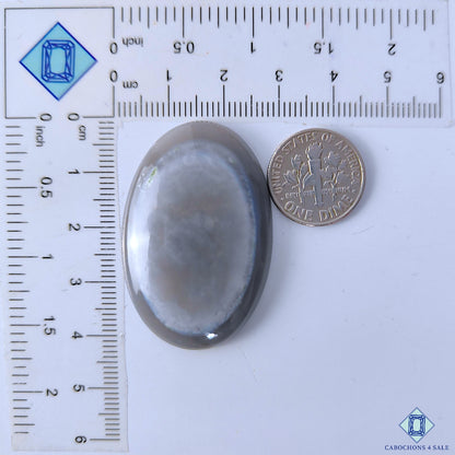 Blue Opal