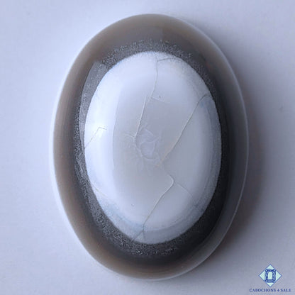 Blue Opal