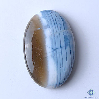 Blue Opal