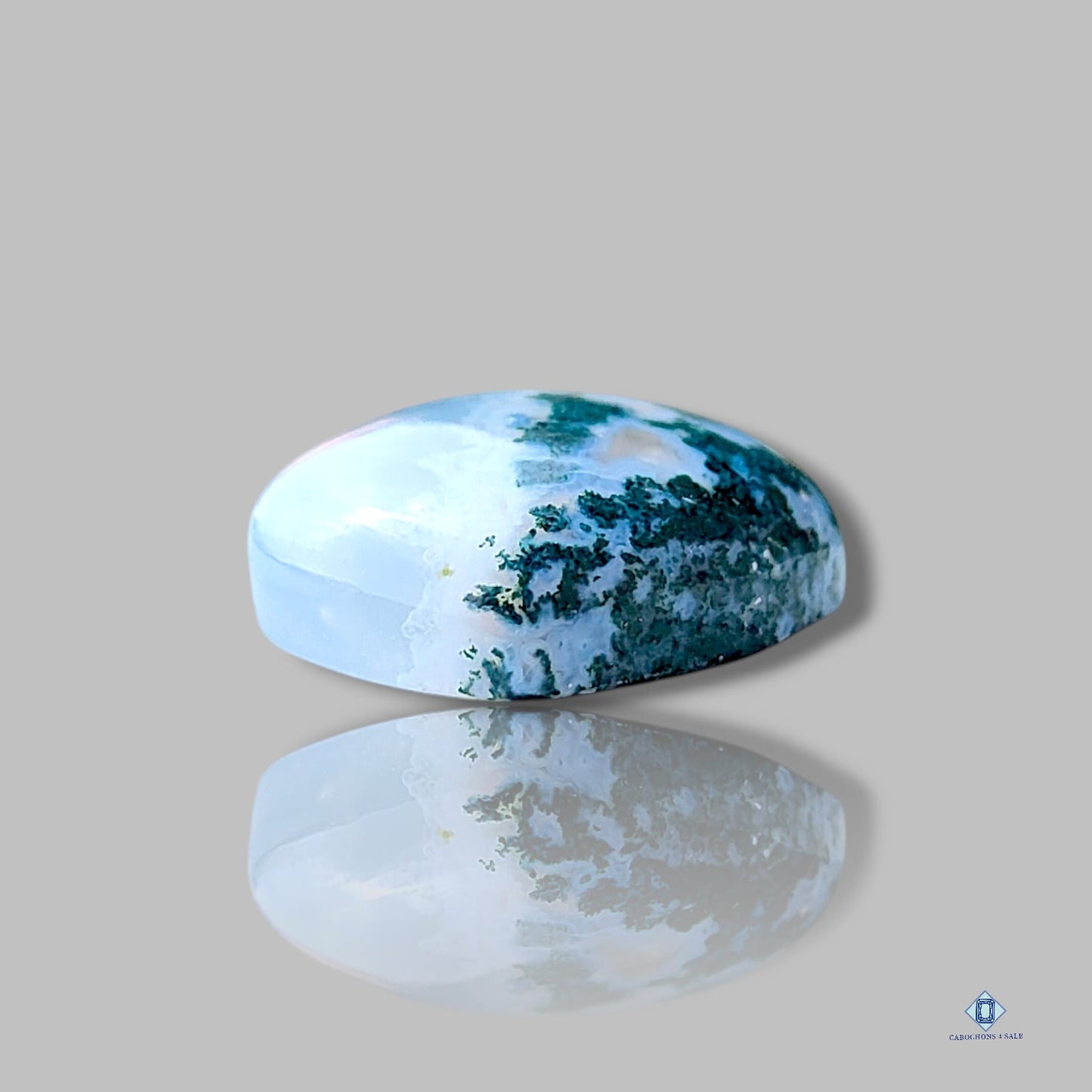 Blue Opal with Moss Agate Heart Carvings