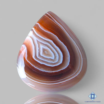 Botswana Agate
