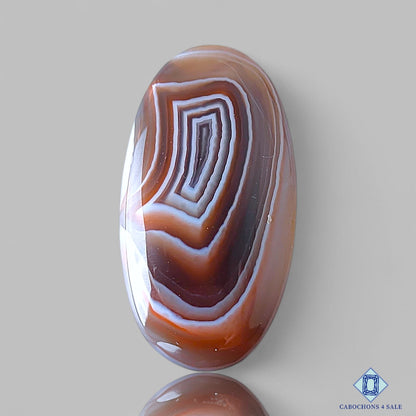 Botswana Agate