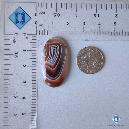 Botswana Agate