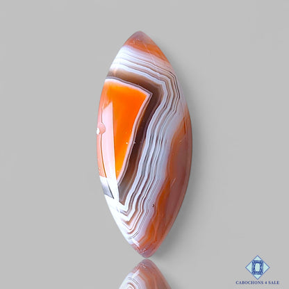 Botswana Agate