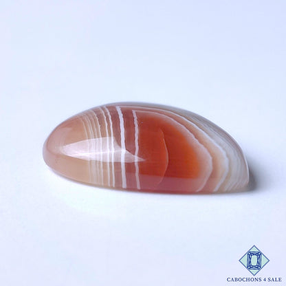 Botswana Agate