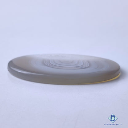 Botswana Agate