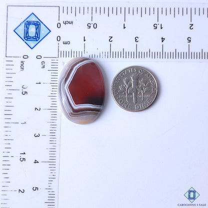 Botswana Agate